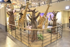 별별여행 > 군산테디베어뮤지엄 | 별별시장&별별여행 ┃ 여행문화의 새로운 트렌드를 만들다 별별여행 > 군산테디베어뮤지엄