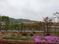 용인시 기흥구 고매동 전원주택매매 & 별장급매매, 콘도미니엄급매매, 골드cc 골프하우스 풀빌라콘도매도. 45평아파트구조. 기흥IC... 