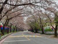 용인시 기흥구 고매동 전원주택매매 & 별장급매매, 콘도미니엄급매매, 골드cc 골프하우스 풀빌라콘도매도. 45평아파트구조. 기흥IC... 