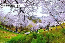 (급매) 재건축 보성 주상복합 빌딩상가(가칭) / 경기 안산시 단원구 원곡동 / 상가 매매 / 부동산119