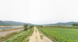 길안천인근. 대지&과수원&작은주택. 지하수, 저온저장고, 창고,전기 / 경북 안동시 길안면 천지리 /  토지/임야 매매 / 부동산119