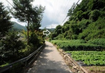 연인산,명지산,송악산입구 주변풍경멋짐.계곡인근. 펜션,전원주택밀집지역 / 경기 가평군 북면 백둔리 /  토지/임야 매매 / 부동산119