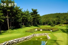 안산시 단원구 대부동동 토지매매 & 투자용지급매매, 주말농장용지급매물. 구거용지접. 골프장, 버스정류장 도보권. 바다가까움. / 경기 안산시... 