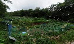 성남시 분당구 분당동 토지매매 & 주말농장급매매 & 농막별장부지급매물. 분당저수지, 율동공원 도보권인접 멋진풍경. 분당시내 도보10분.... 