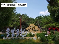 서울 강북구 우이동 빌라전세집 & 다세대주택임대, 솔밭공원역 초역세권.초,중,고,덕성여대 도보10분내. 우이천,북한산,백운시장 도보4... 