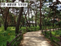 서울 강북구 우이동 빌라전세집 & 다세대주택임대, 솔밭공원역 초역세권.초,중,고,덕성여대 도보10분내. 우이천,북한산,백운시장 도보4... 