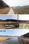 완도군 고금면 바닷가 토지매매 & 저렴한 땅 급매매 & 체류형 농막... 바다 도보4~5분 풍경좋음 / 전남 완도군 고금면 회룡리 / 토지/임야 매매... 
