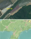 완도군 고금면 바닷가 토지매매 & 저렴한 땅 급매매 & 체류형 농막... 바다 도보4~5분 풍경좋음 / 전남 완도군 고금면 회룡리 / 토지/임야 매매... 