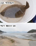 완도군 고금면 바닷가 토지매매 & 저렴한 땅 급매매 & 체류형 농막... 바다 도보4~5분 풍경좋음 / 전남 완도군 고금면 회룡리 / 토지/임야 매매... 