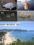 완도군 고금면 저렴한 토지매매 & 바닷가 체류형 쉼터 농막용지... 하천앞. 조망권 좋음 / 전남 완도군 고금면 회룡리 / 토지/임야 매매 / 부동산119