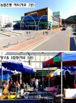 양구군 양구읍 토지 매매 & 전원주택용지 급매매, 단독주택부지... 청정지역 파로호 도보10분.읍내 차4~6분 / 강원 양구군 양구읍 동수리 / 토지... 
