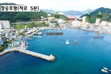 거제시 아양동 임야 매매 & 거제도 토지 급매매, 도시개발사업예정지... 옥포국가산업단지 맞은편, 아주지구 편의시설 인근 / 경남 거제시 아양동... 