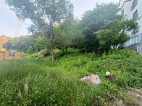 급매매 & 펜션용지 급매물, 베이커리 카페부지 매도. 남이섬 인근 북한강 조망권, 수상레저, 팬션 밀집 / 경기 가평군 가평읍 금대리 / 토지/임야... 