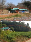 급매매, 시골촌집 급매물, 대지 매도,전원주택지 매각.당진IC,당신시청,면소재지,바다가까움 / 충남 당진시 송산면 당산리 / 토지/임야 매매... 