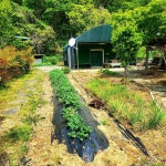 기장군 철마면 토지 매매 & 주말농장 급매매, 농막 전기 상수도 화장실 휀스 주차장 등 시설완벽 즉시사용 가능 / 부산 기장군 철마면 구칠리... 