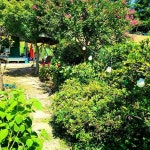 기장군 철마면 토지 매매 & 주말농장 급매매, 농막 전기 상수도 화장실 휀스 주차장 등 시설완벽 즉시사용 가능 / 부산 기장군 철마면 구칠리... 