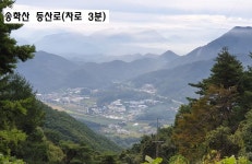 급매물, 체류형 쉼터 농막부지 매도. 기존 농가주택 철거완. 계획관리지역, 송학산 인근 / 충북 제천시 송학면 송한리 / 토지/임야 매매 / 부동산119