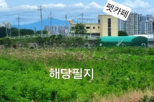 2차선도로접. 금호강. 경산IC, 부호역, 대구혁신도시 인근 / 경북 경산시 하양읍 대조리 / 토지/임야 매매 / 부동산119