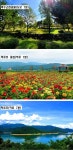 양구군 양구읍 전원주택지 매매 & 단독주택지 급매매, 귀농귀촌부지... 건축허가 받음 / 강원 양구군 양구읍 정림리 / 토지/임야 매매 / 부동산119