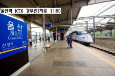 울산 울주군 상북면 등억알프스리 토지/임야 매매 - 부동산119