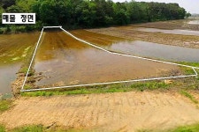 화성시 남양읍 토지 매매 & 주말농장용지 급매매, 장기투자용지 급매물, 개발제한구역, 서화성역, 화성국제테마파크 인근 / 경기 화성시 남양읍... 