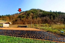 보전관리지역, 세지면사무소, 농협, 하나로마트, 우체국 도보3~8분 가까움 / 전남 나주시 세지면 오봉리 / 토지/임야 매매 / 부동산119