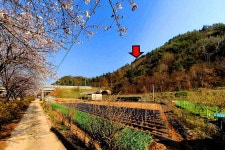 보전관리지역, 세지면사무소, 농협, 하나로마트, 우체국 도보3~8분 가까움 / 전남 나주시 세지면 오봉리 / 토지/임야 매매 / 부동산119