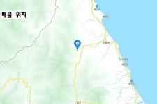 공장 제2종근린생활시설 승인 지역 임야 급매물, 장신리 계곡유원지, 751평 또는 1000평 / 강원 고성군 간성읍 장신리 / 토지/임야 매매... 