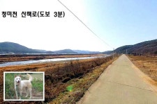 영농부지 급매물, 지하수, 정화조, 농막 있음. 청미천 산책로 도보3분. 여주IC 인근 / 경기 여주시 점동면 장안리 / 토지/임야 매매 / 부동산119