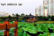 대구 동구 괴전동 토지/임야 매매 - 부동산119