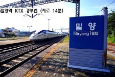 밀양시 상남면 토지 매매 & 주말농장용지 급매매, 농가주택부지 급매물. 옛집터, 대지 매도. 컨테이너, 전기있음. KTX밀양역,삼랑진IC인근... 