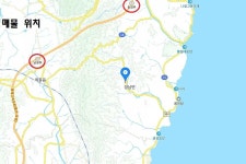 평지 나대지. 전기,수도 있음. 하서항, 바닷가 가까움 / 경북 경주시 양남면 석촌리 / 토지/임야 매매 / 부동산119