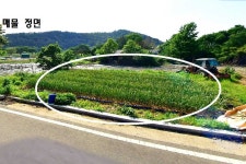 대구 달성군 유가읍 토지 매매 & 소형주택지 급매매, 주말농장 급매물. 군유지,2차선도로접. 2종일반주거지, 달창저수지 도보7분, 현풍IC 인근... 