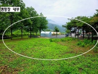 신규 오픈 캠핑장 년세, 전세 임대합니다. 법흥천 계곡 산책로 인접. 펜션 밀집지, 관리동 있음 / 강원 영월군 무릉도원면 무릉리 / 펜션 전세... 