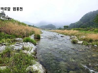 오픈 캠핑장 년세, 전세 임대합니다. 법흥천 계곡 산책로 인접. 펜션 밀집지, 관리동 있음 / 강원 영월군 무릉도원면 무릉리 / 펜션 전세 / 부동산119
