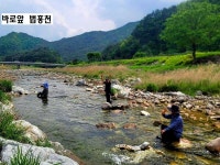 신규 오픈 캠핑장 년세, 전세 임대합니다. 법흥천 계곡 산책로 인접. 펜션 밀집지, 관리동 있음 / 강원 영월군 무릉도원면 무릉리 / 펜션 전세... 
