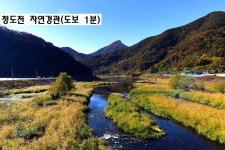 청도군 청도읍 토지 매매 & 쉼터 농막용지 급매매. 주말농장부지 급매물. 귀농귀촌부지 매도. 비닐하우스 1동, 콘테이너 1동, 농사용전기 있음... 