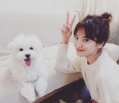 송혜교 `일상 사진` 강아지랑 찰칵! 둘 다 뽀얗고 눈부셔 11월 말... 사진` 강아지랑 찰칵! 둘 다 뽀얗고 눈부셔 11월 말 수목드라마 `박빙`