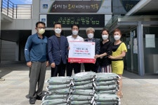 보도뉴스