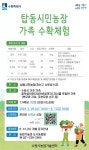 보도뉴스