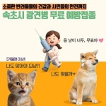 보도뉴스