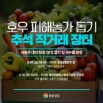 보도뉴스