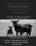 보도뉴스