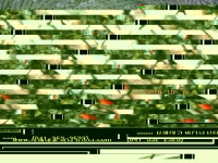 유료터정보 > 유료터점주조황 > 봉재낚시터 3월 10일 (화) 조황