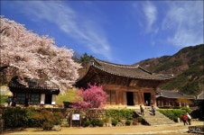  포토갤러리 | 부안군 보안면