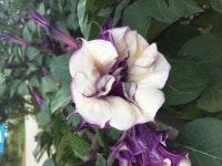  포토갤러리 | 부안군 보안면