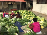  포토갤러리 | 부안군 보안면