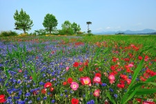  포토갤러리 | 부안군 줄포면