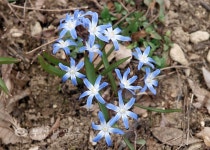 겨울은 소리로 듣고, 봄은 눈으로 봅니다 :: 부천타임즈