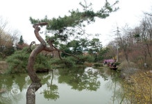 겨울은 소리로 듣고, 봄은 눈으로 봅니다 :: 부천타임즈